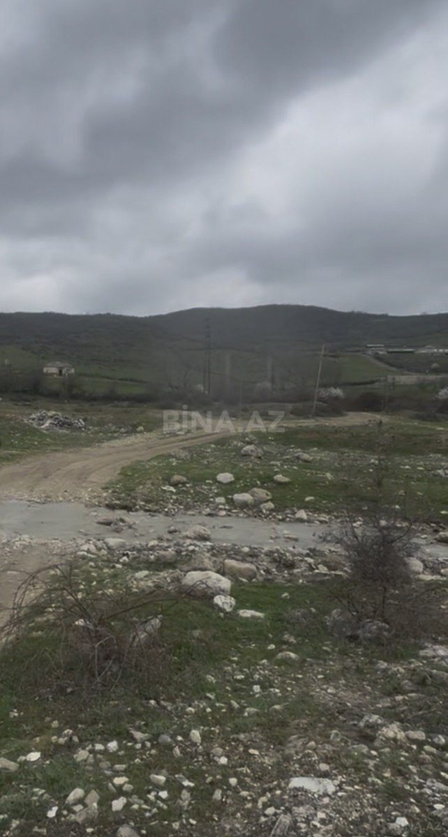 Torpaq Şabran
