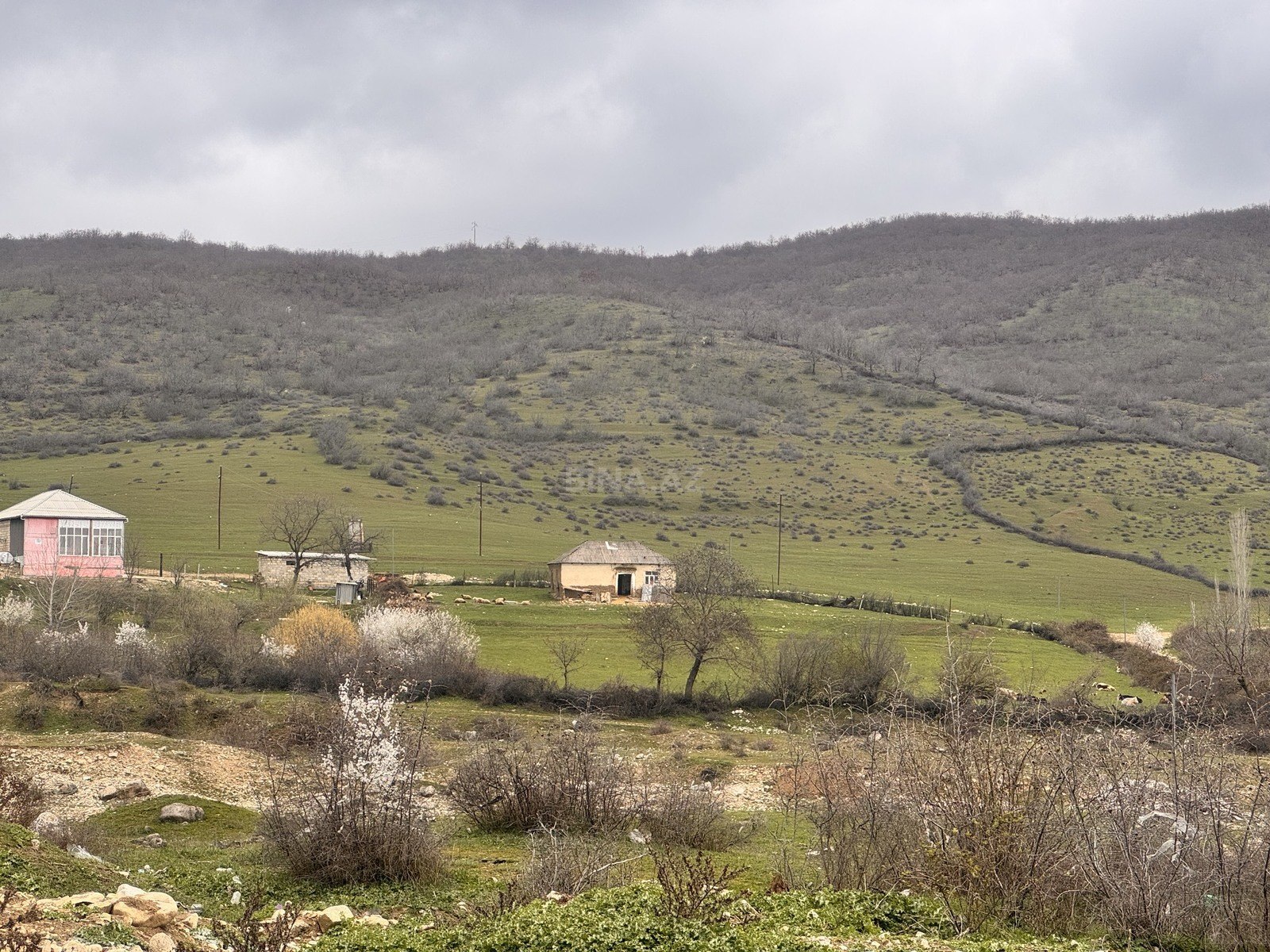 Torpaq Şabran