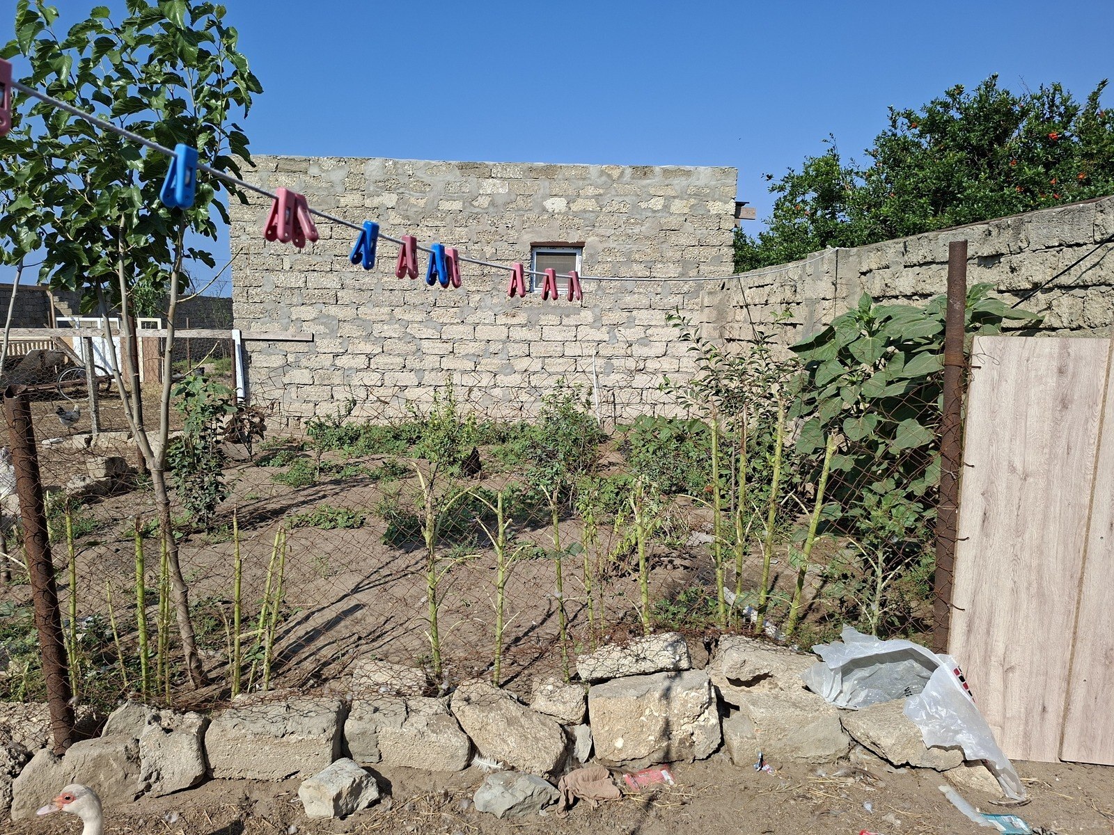 3 otaqlı Həyət evi/Bağ evi, Zirə q., Bakı