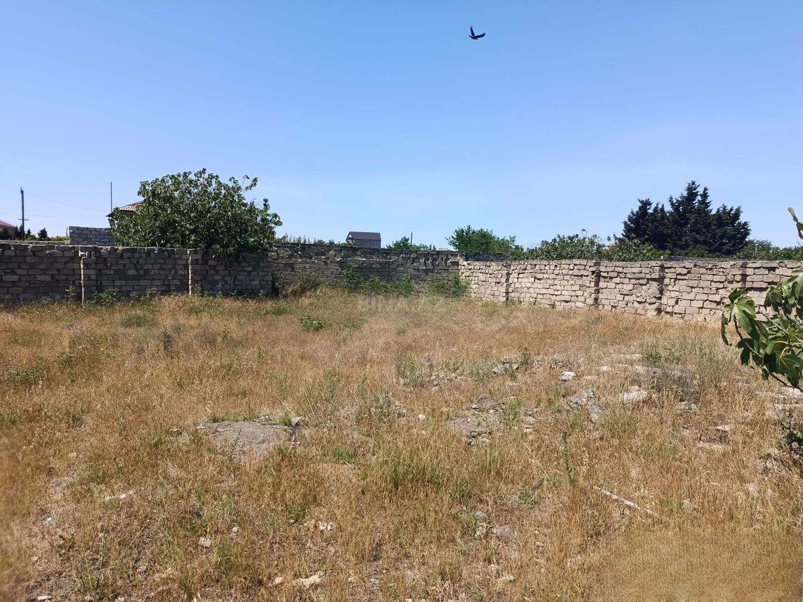 Torpaq Bilgəh q., Bakı