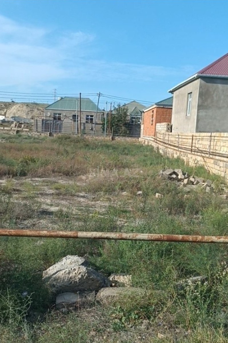 Torpaq Biləcəri q., Bakı