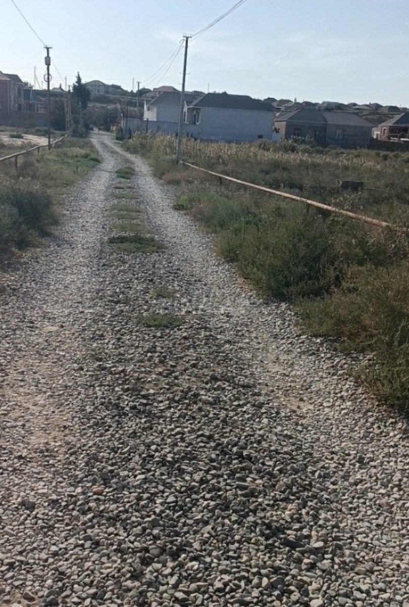 Torpaq Biləcəri q., Bakı
