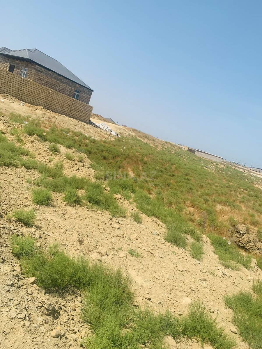 Torpaq Saray q., Bakı