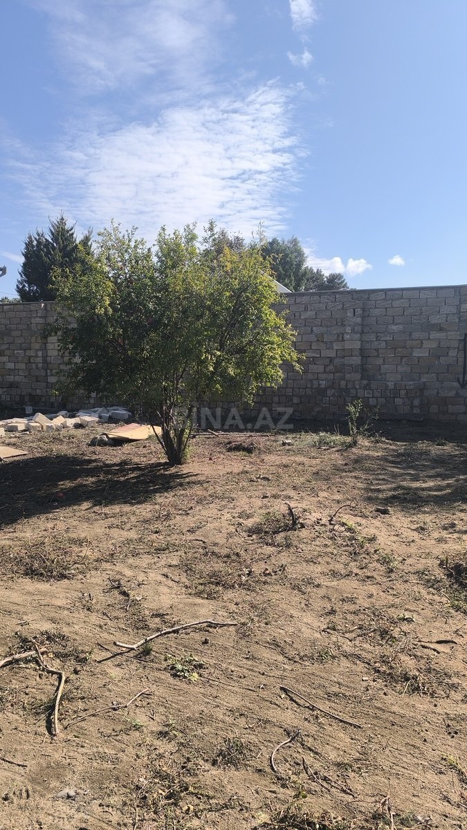 Torpaq Novxanı q., Bakı