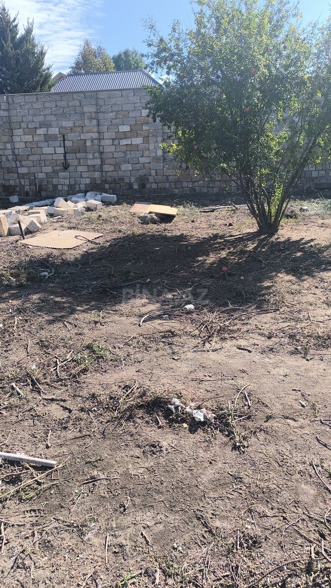 Torpaq Novxanı q., Bakı
