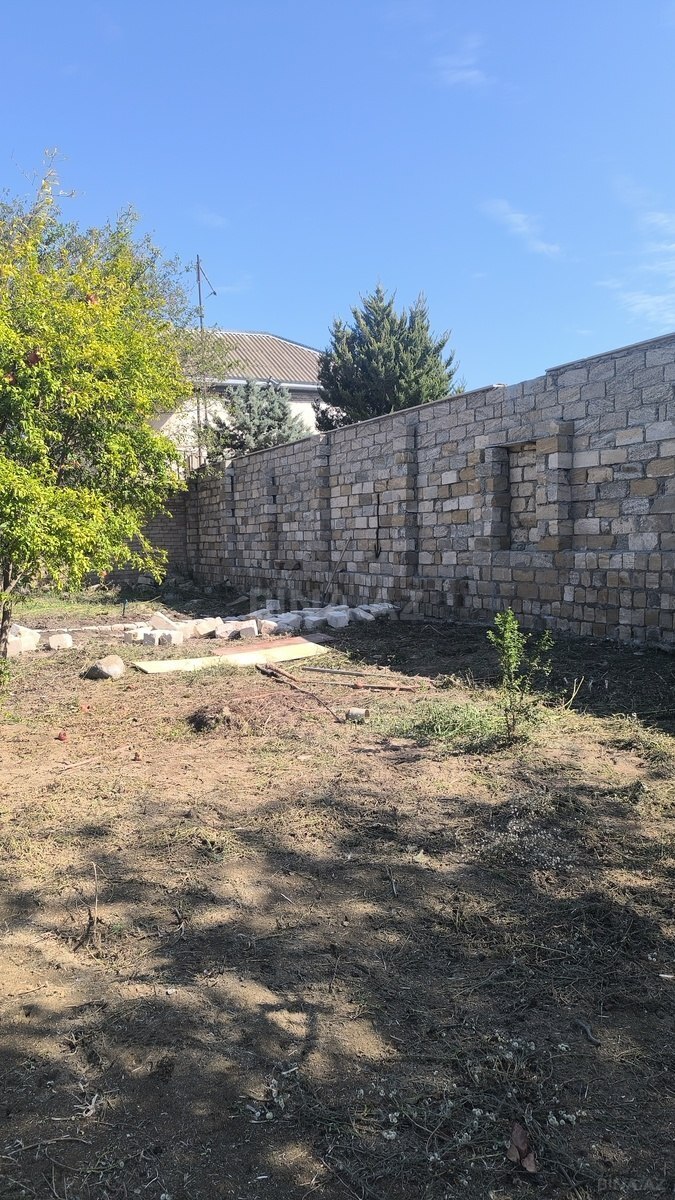 Torpaq Novxanı q., Bakı