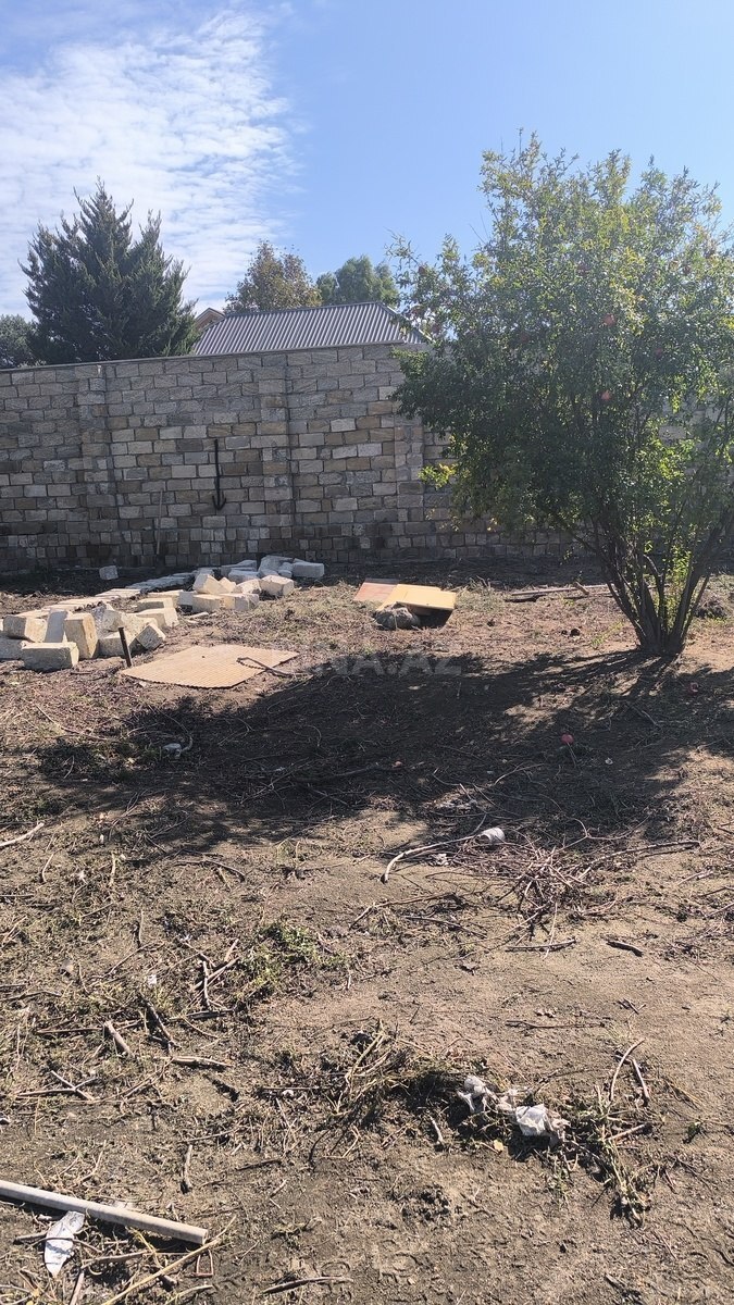 Torpaq Novxanı q., Bakı