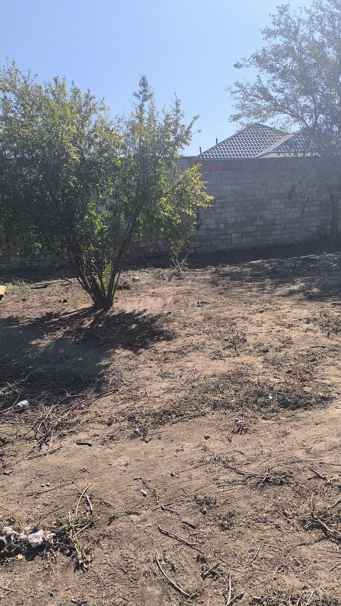 Torpaq Novxanı q., Bakı