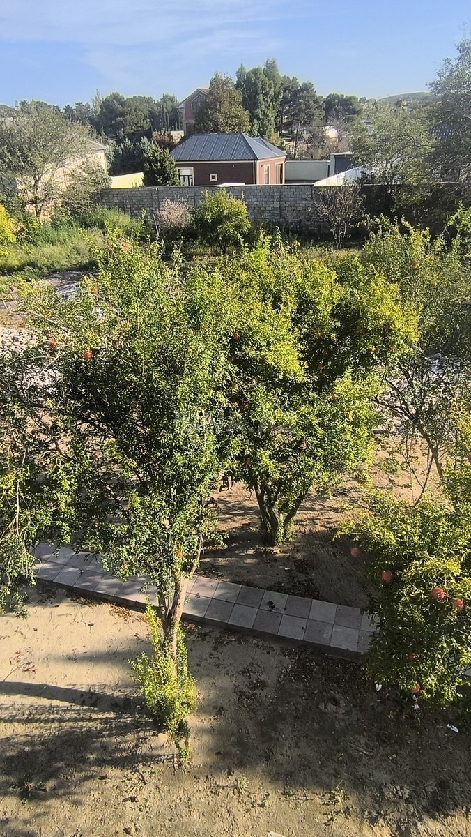 Torpaq Novxanı q., Bakı