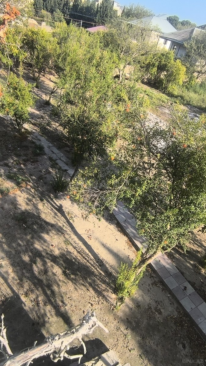 Torpaq Novxanı q., Bakı