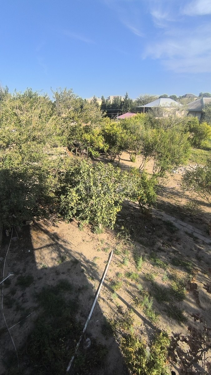 Torpaq Novxanı q., Bakı