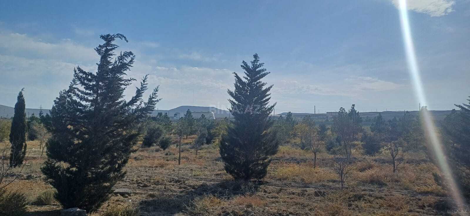 Torpaq Abşeron r., Bakı