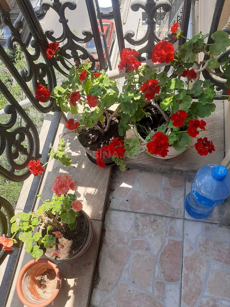 2 otaqlı Köhnə tikili, Nizami m., Bakı
