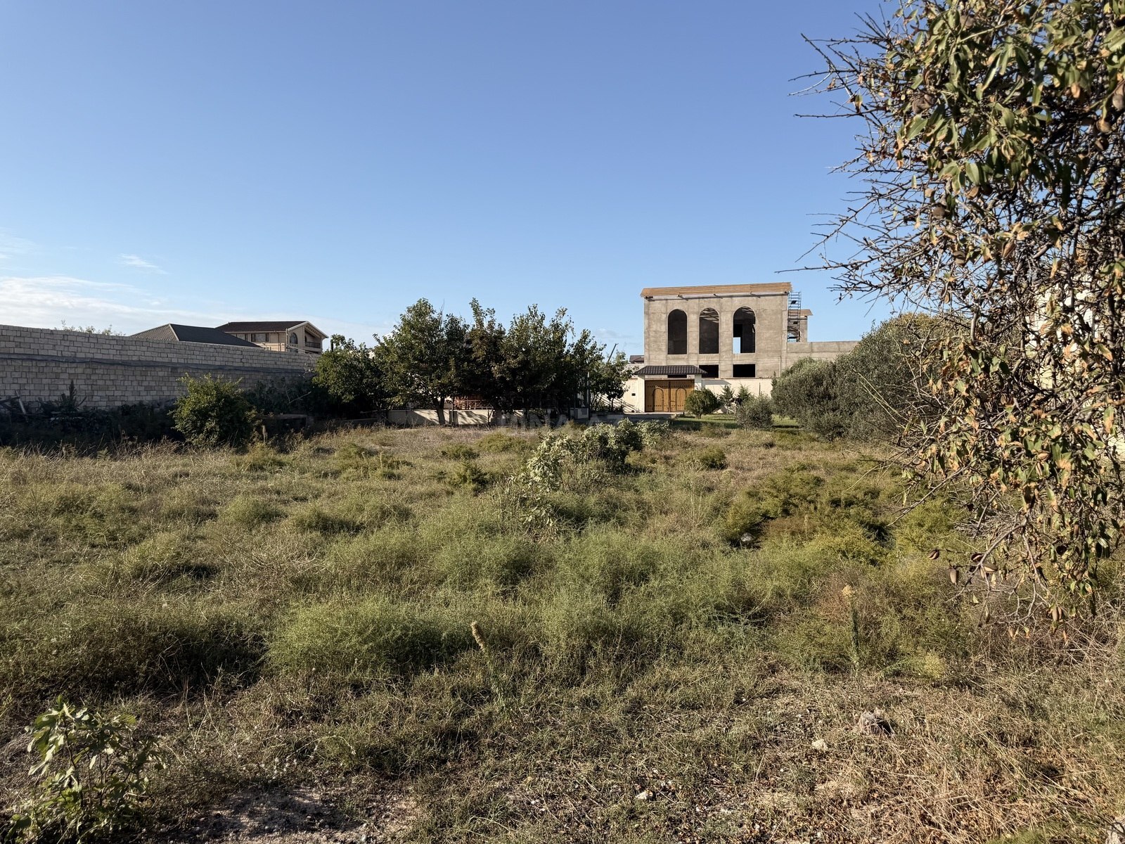 Torpaq Bilgəh q., Bakı