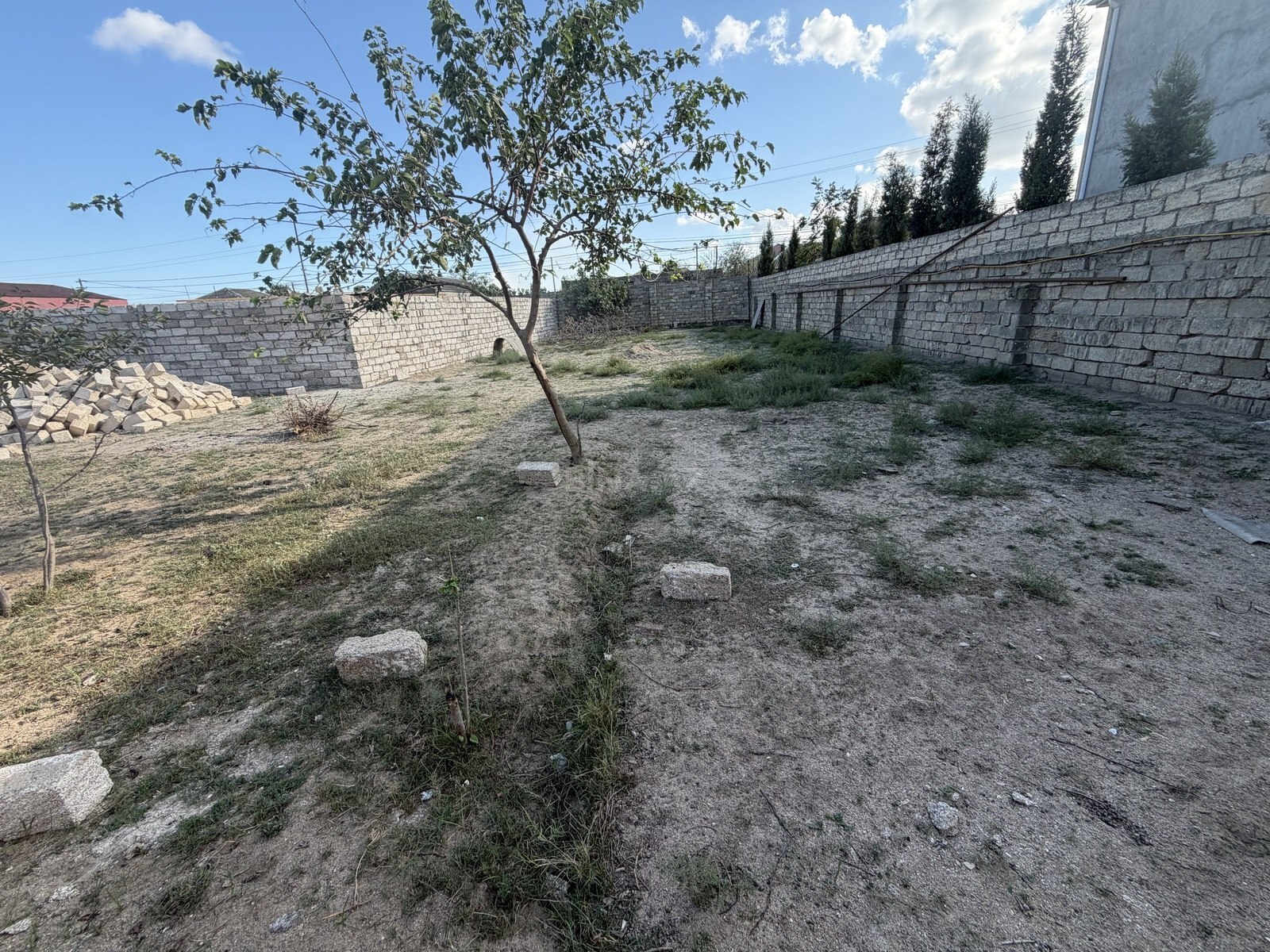 Torpaq Maştağa q., Bakı
