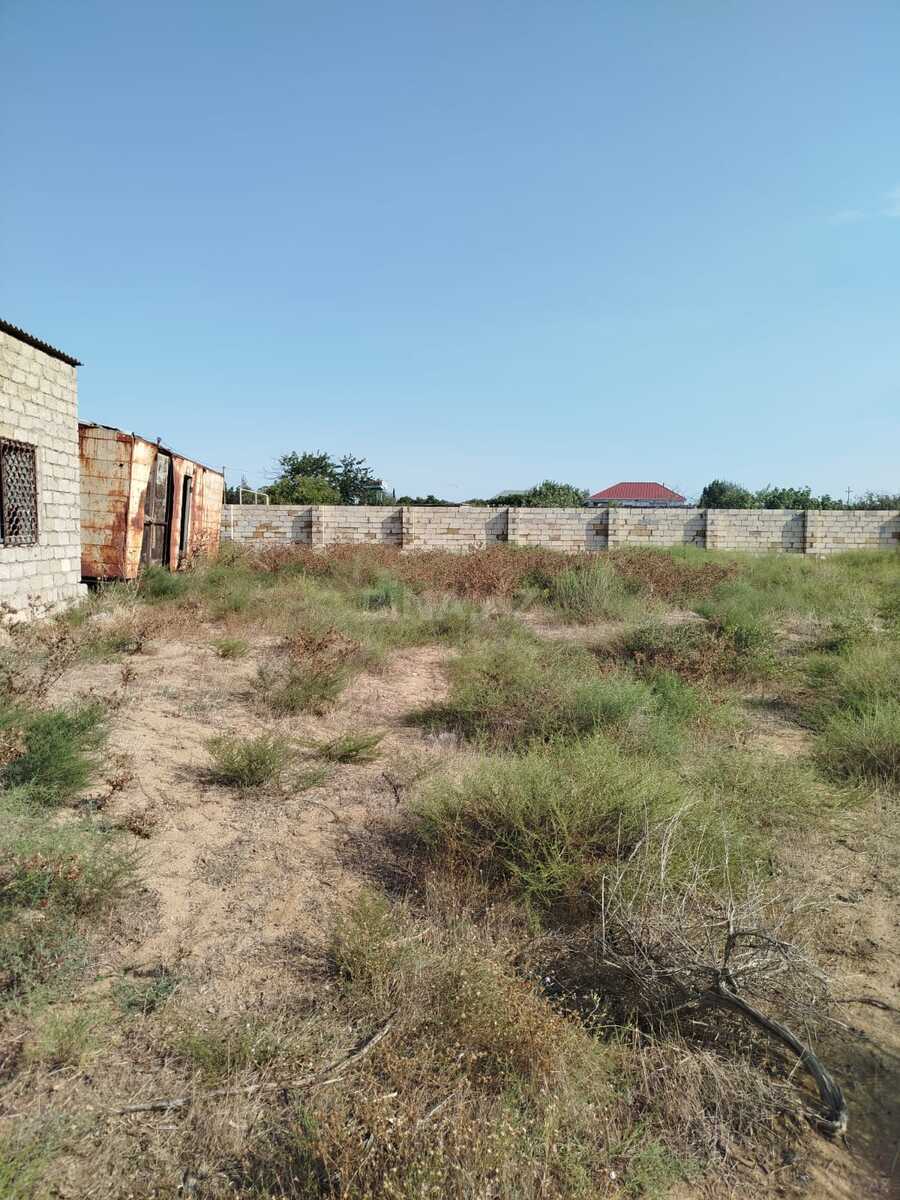 Torpaq Nardaran q., Bakı