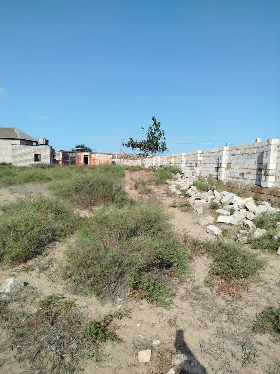Torpaq Nardaran q., Bakı