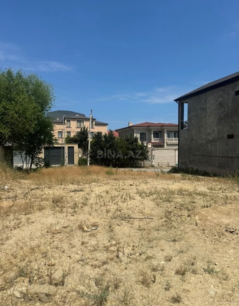 Torpaq Badamdar q., Bakı