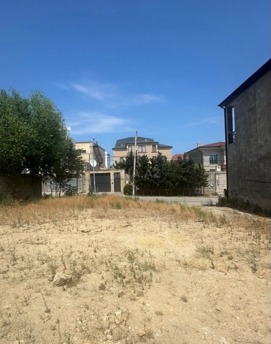 Torpaq Badamdar q., Bakı