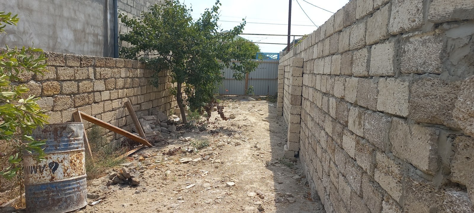Torpaq Binə q., Bakı
