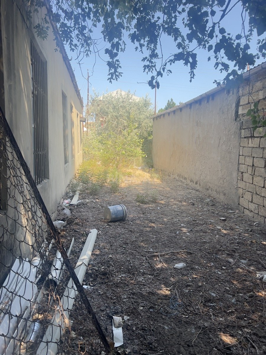 Torpaq Görədil q., Bakı