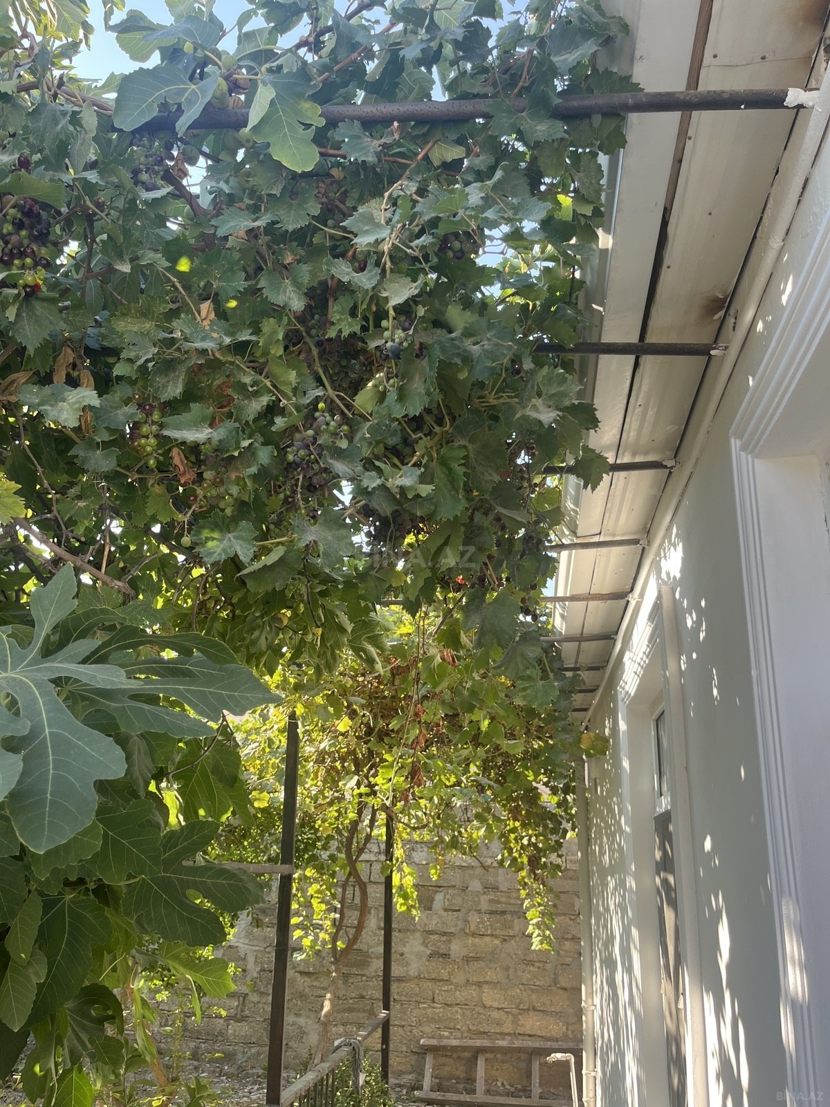 4 otaqlı Həyət evi/Bağ evi, Hövsan q., Bakı