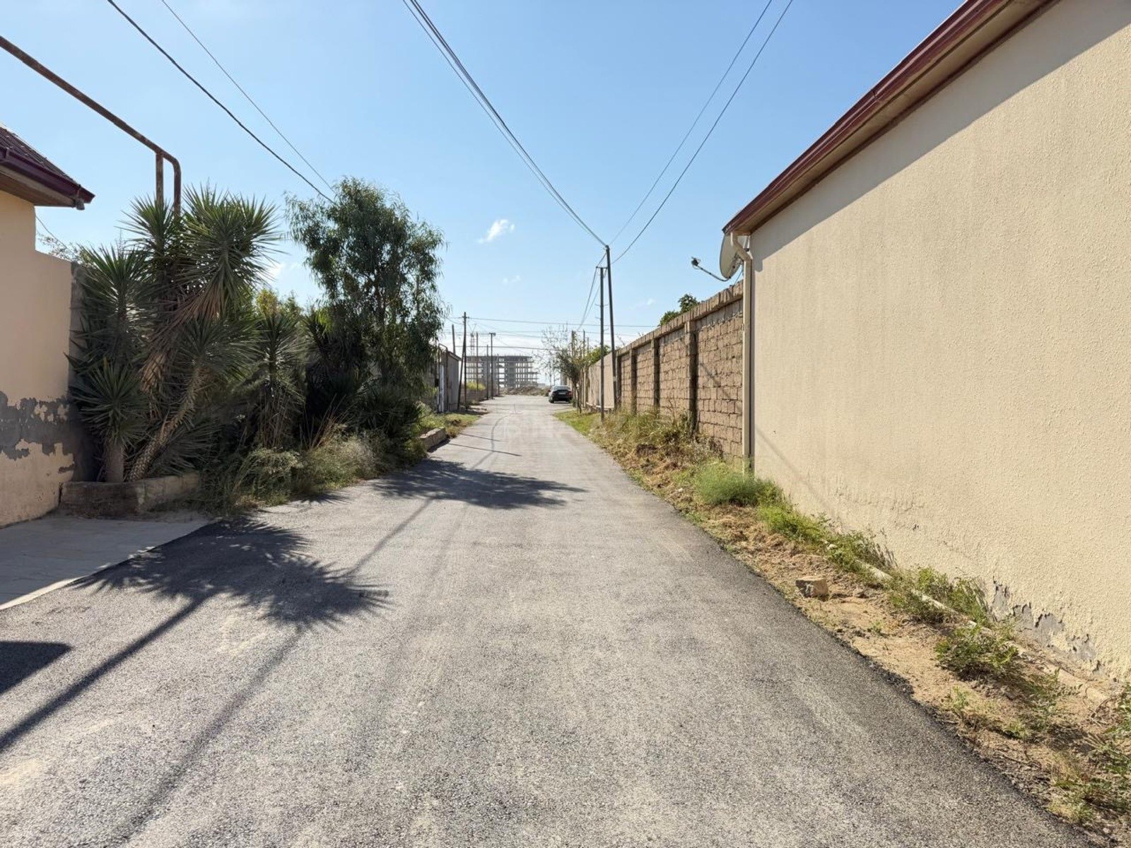 Torpaq Nardaran q., Bakı