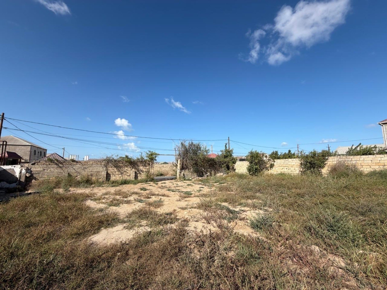 Torpaq Nardaran q., Bakı
