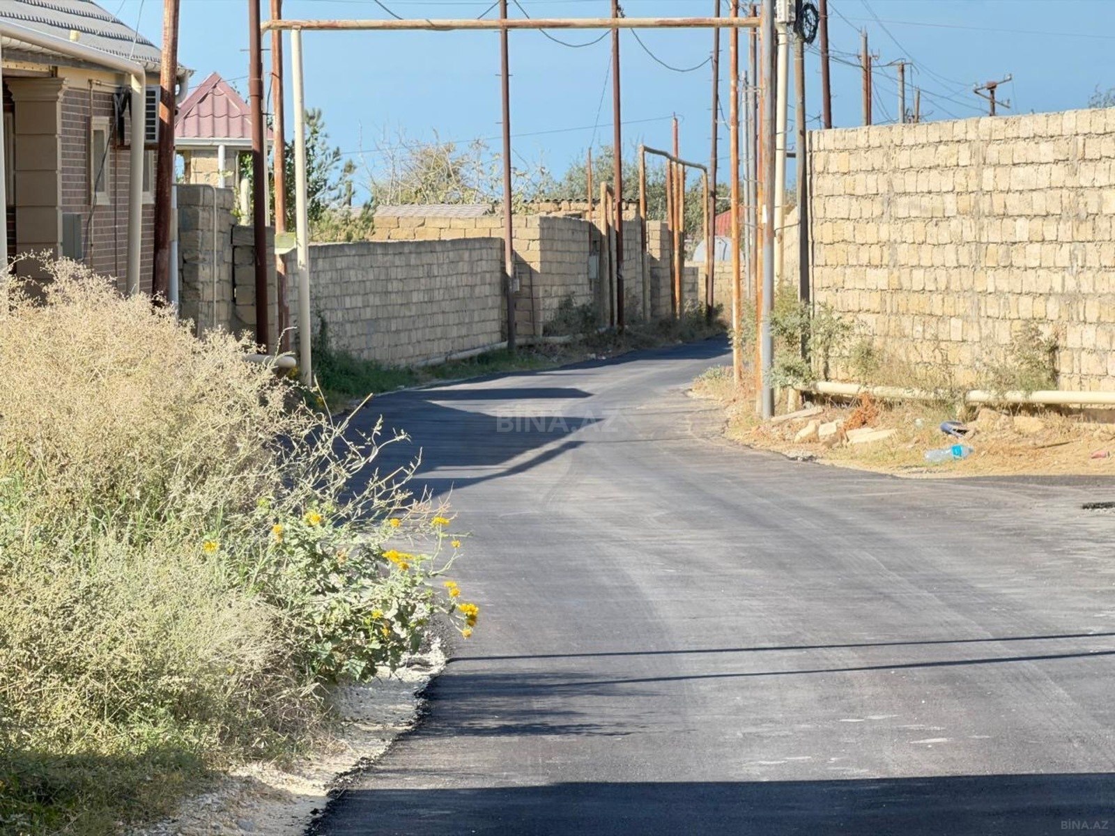 Torpaq Nardaran q., Bakı