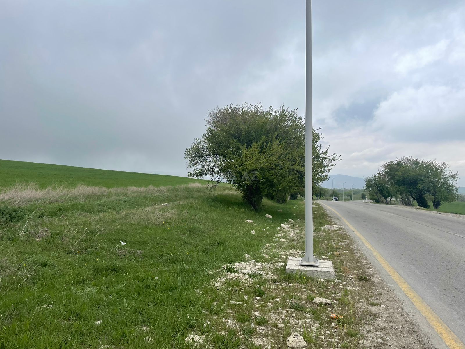 Torpaq Şamaxı