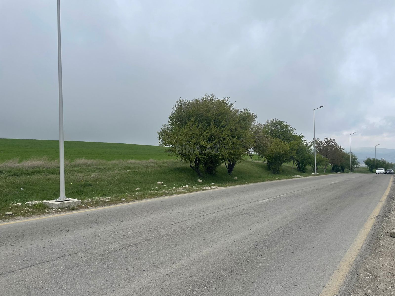 Torpaq Şamaxı
