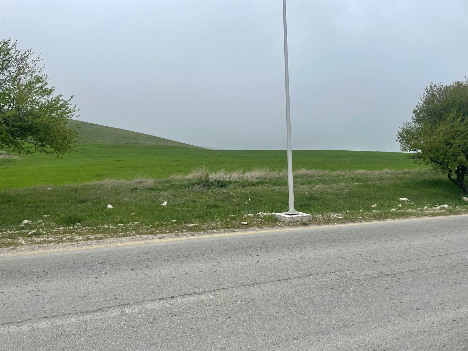 Torpaq Şamaxı