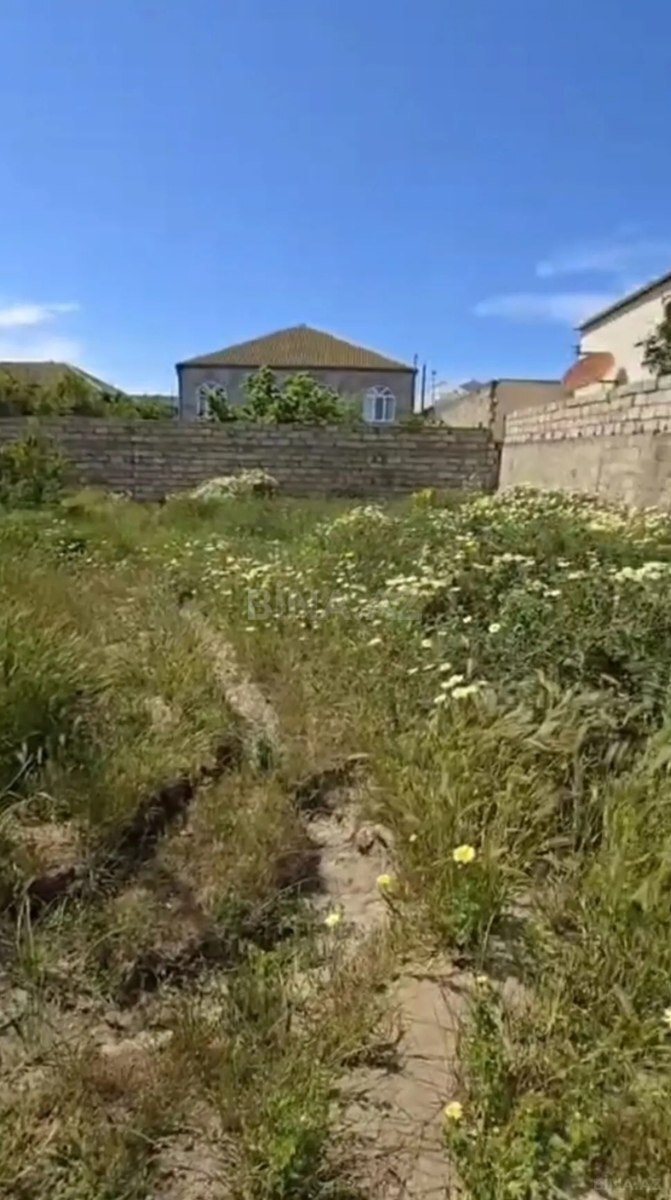 Torpaq Binə q., Bakı