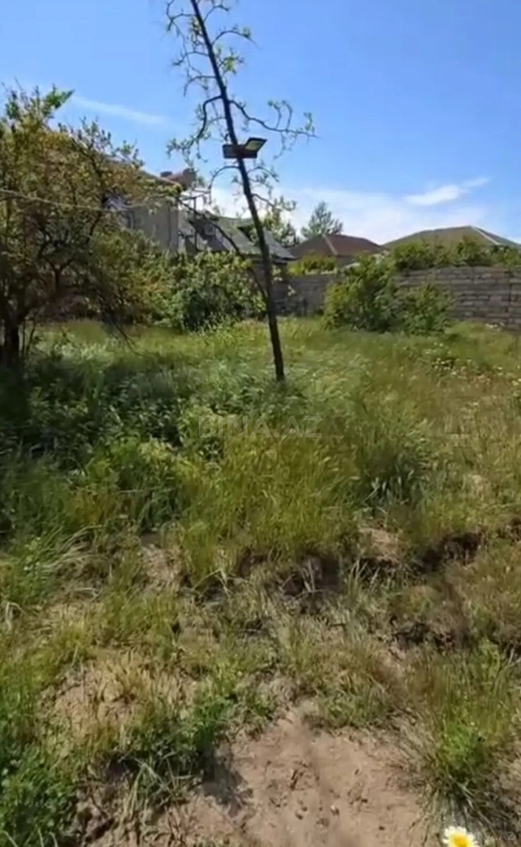 Torpaq Binə q., Bakı