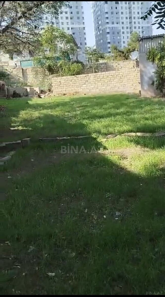 Torpaq Badamdar q., Bakı