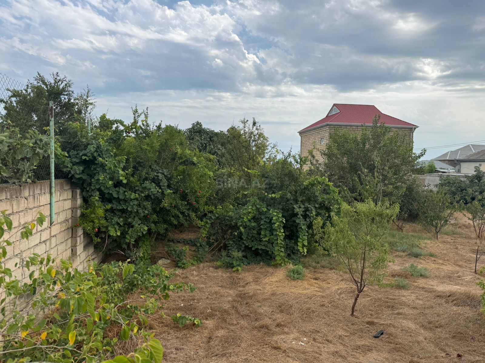 Torpaq Binə q., Bakı
