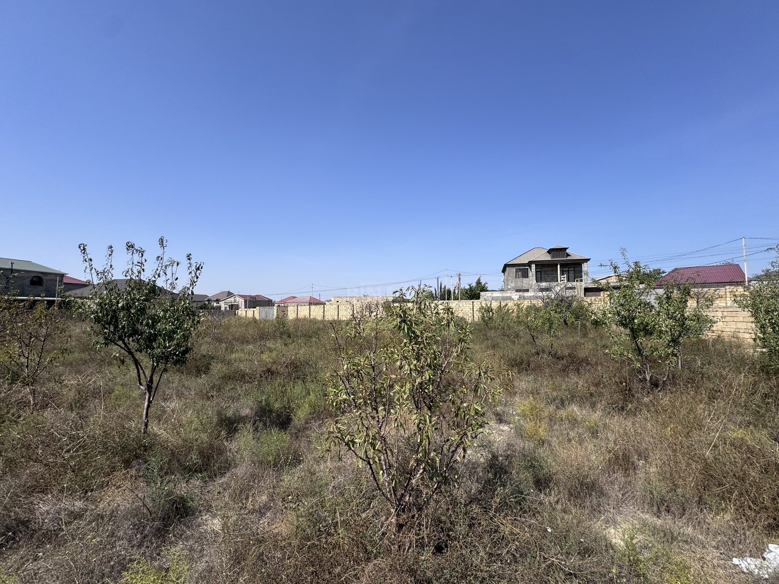 Torpaq Saray q., Bakı