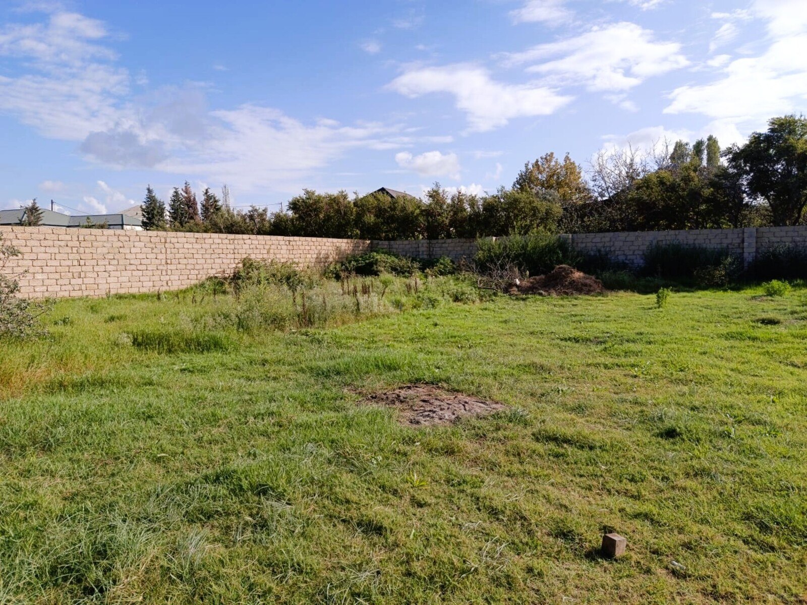 Torpaq Novxanı q., Bakı