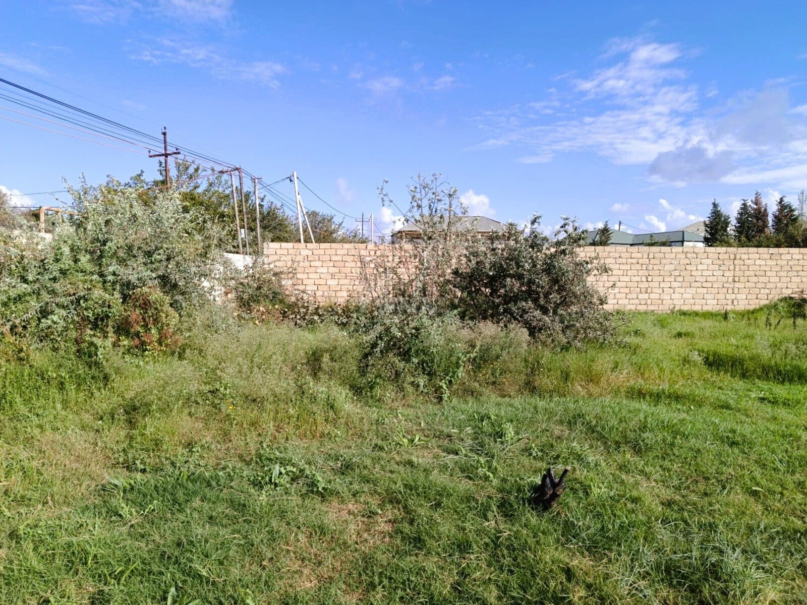 Torpaq Novxanı q., Bakı