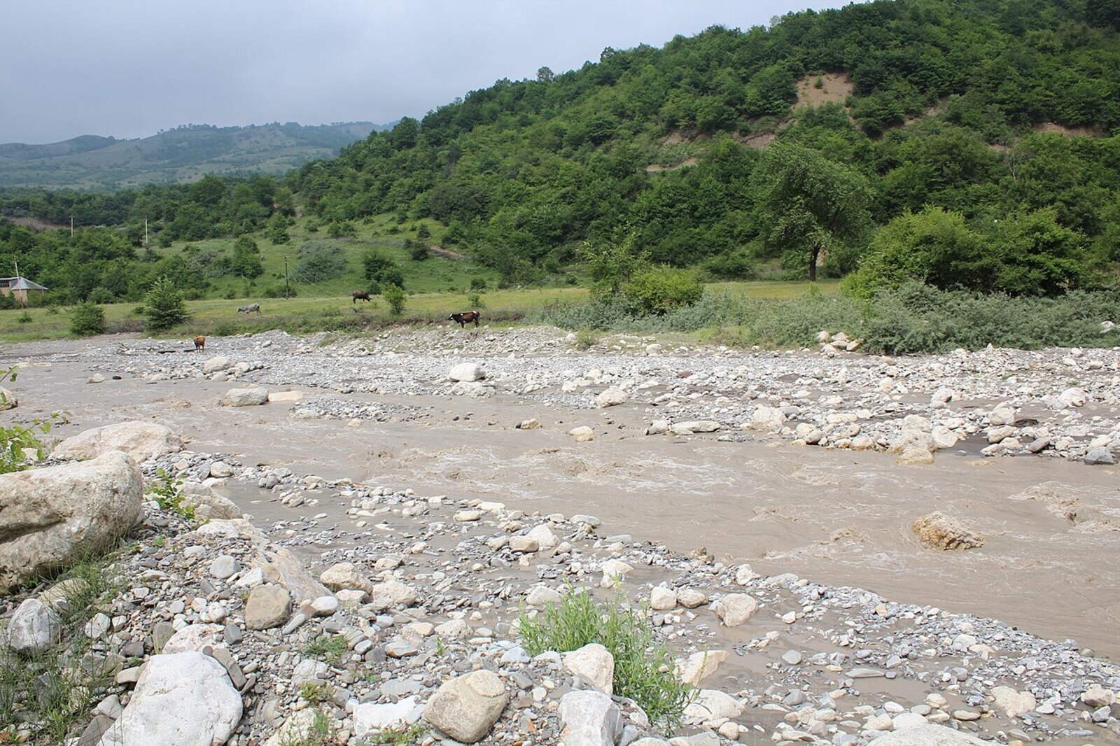 Torpaq Qusar
