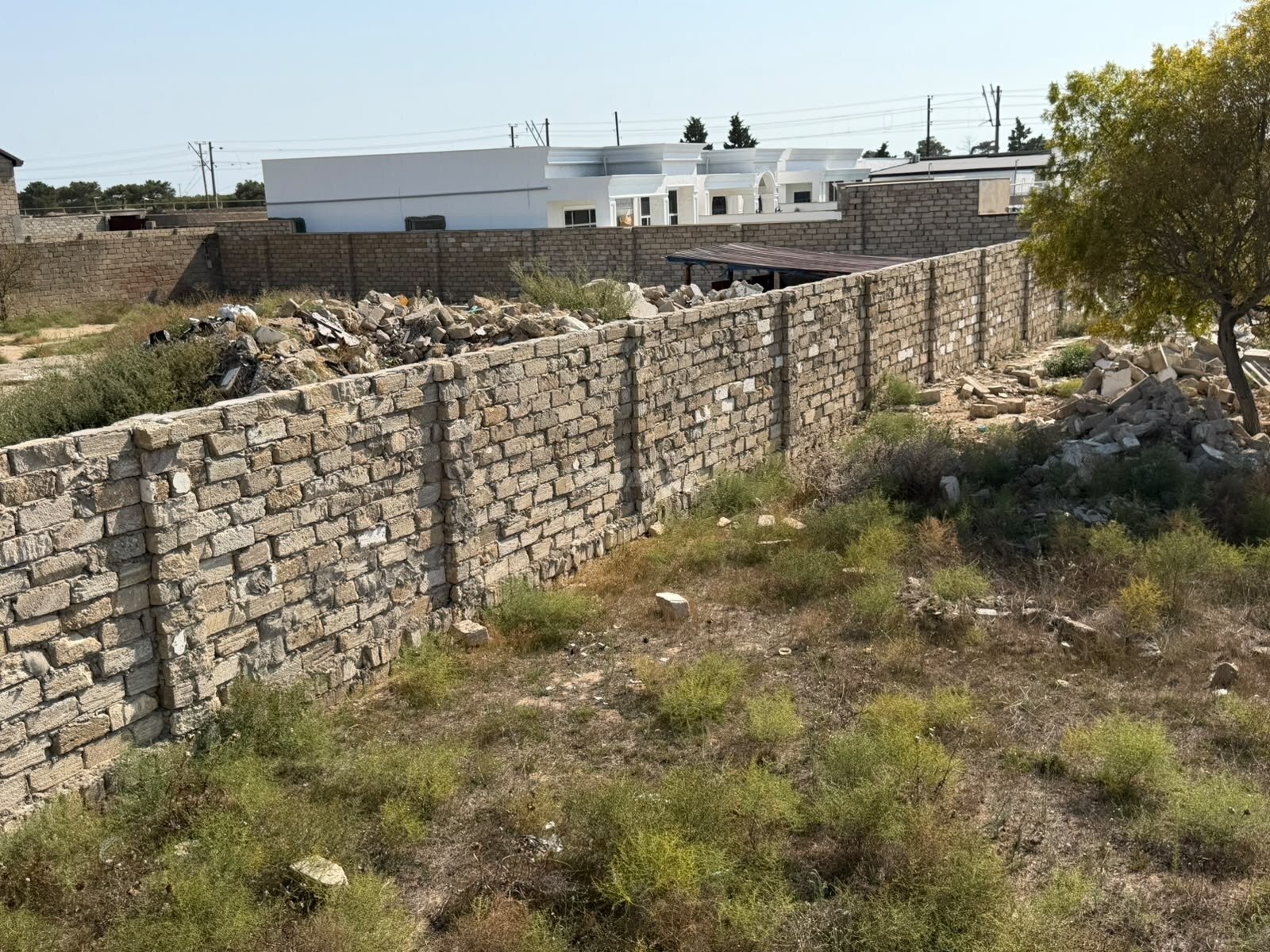 Torpaq Şüvəlan q., Bakı