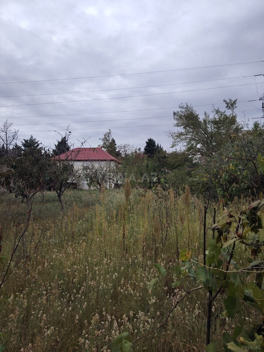 Torpaq Mərdəkan q., Bakı
