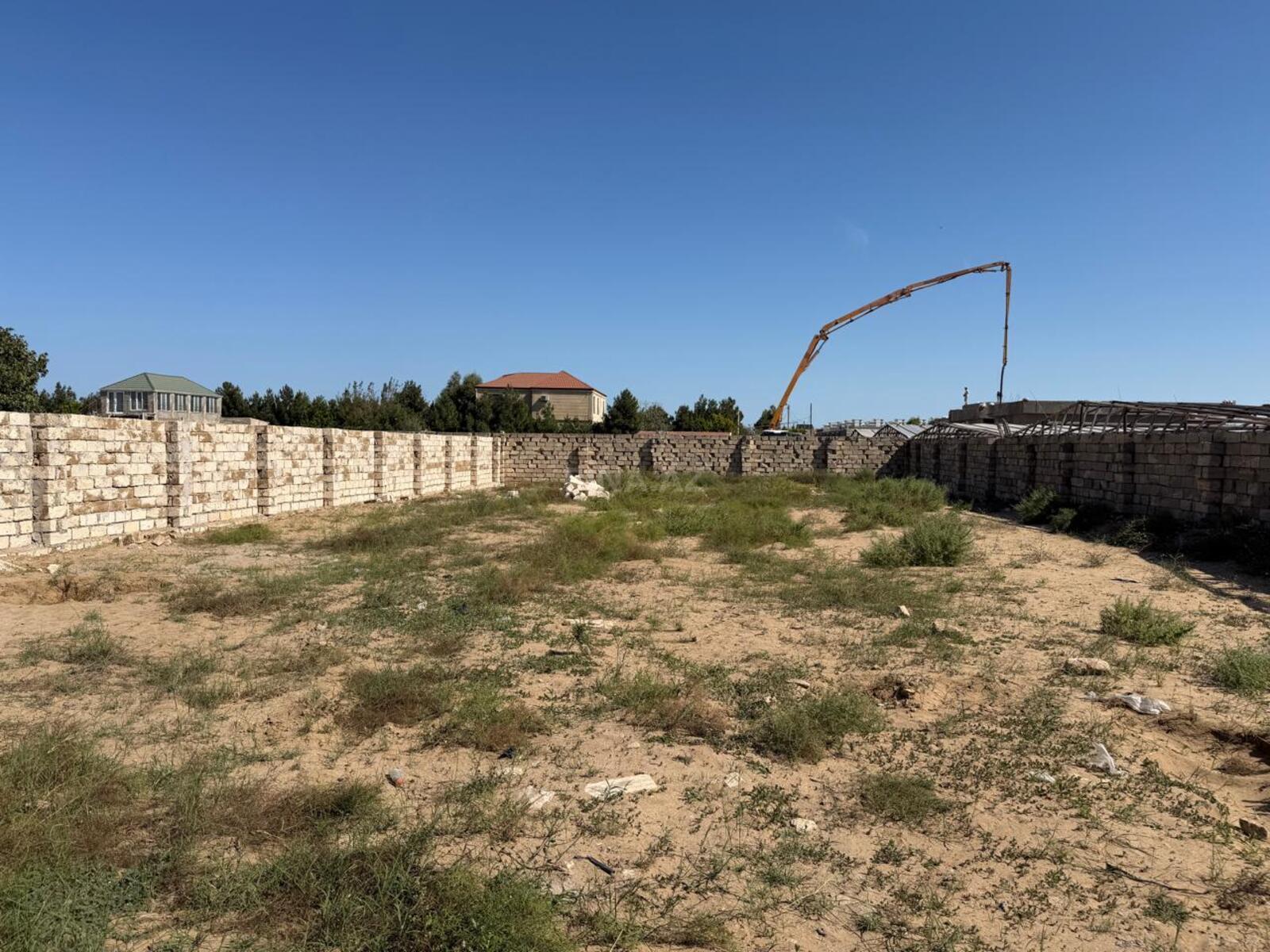 Torpaq Nardaran q., Bakı