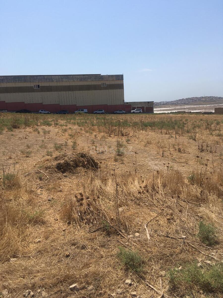 Torpaq Binəqədi r., Bakı