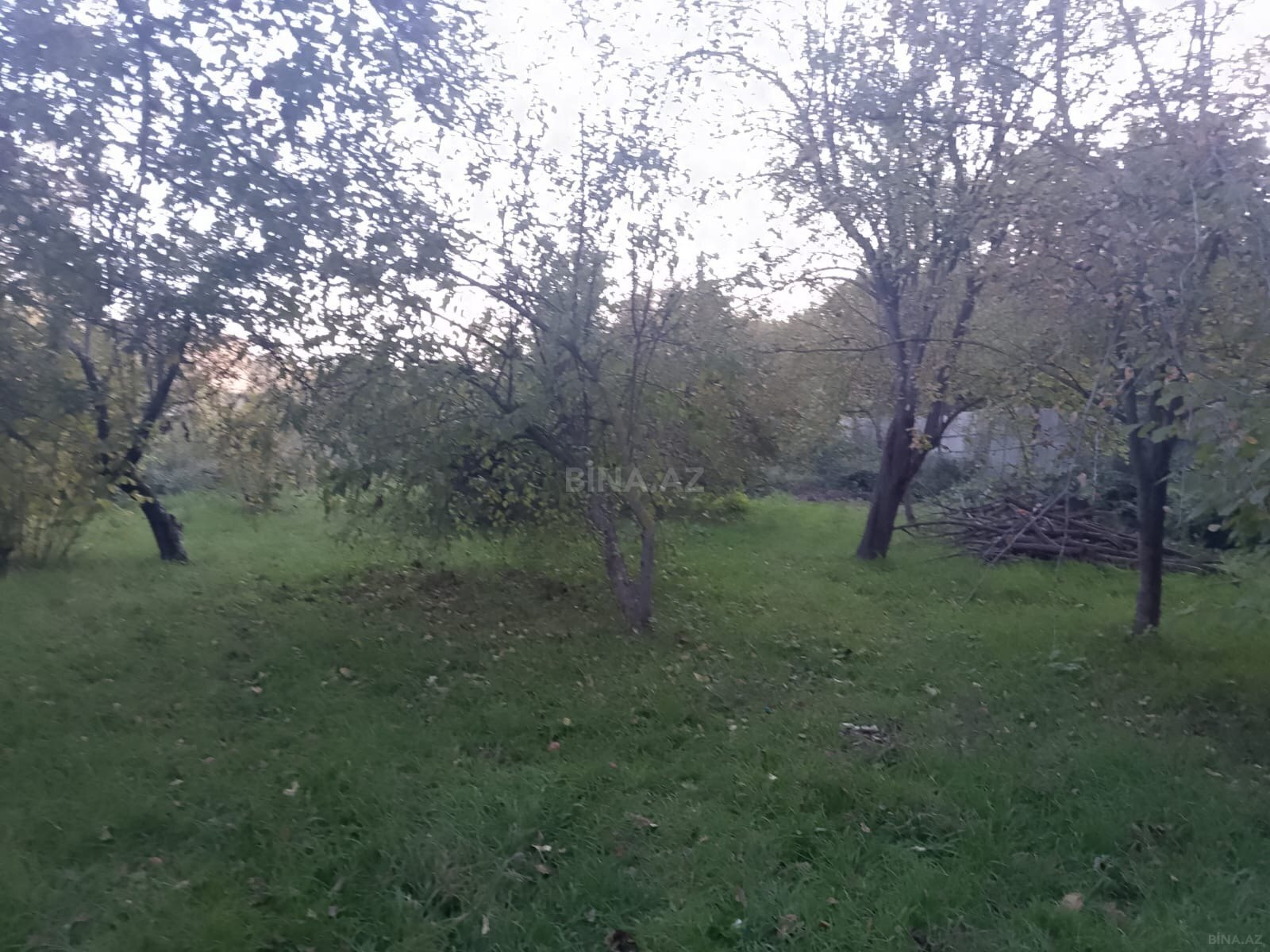 Torpaq İsmayıllı