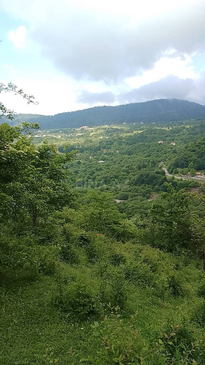 Torpaq Quba