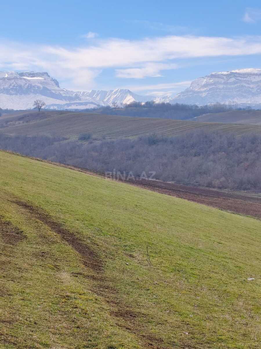 Torpaq Qusar