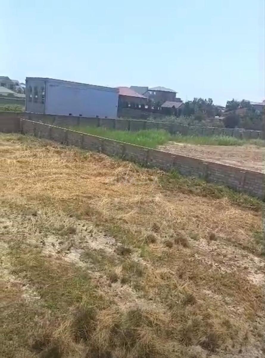 Torpaq Buzovna q., Bakı