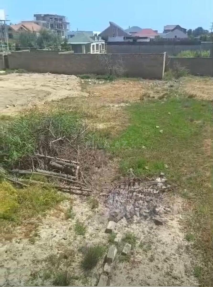 Torpaq Buzovna q., Bakı