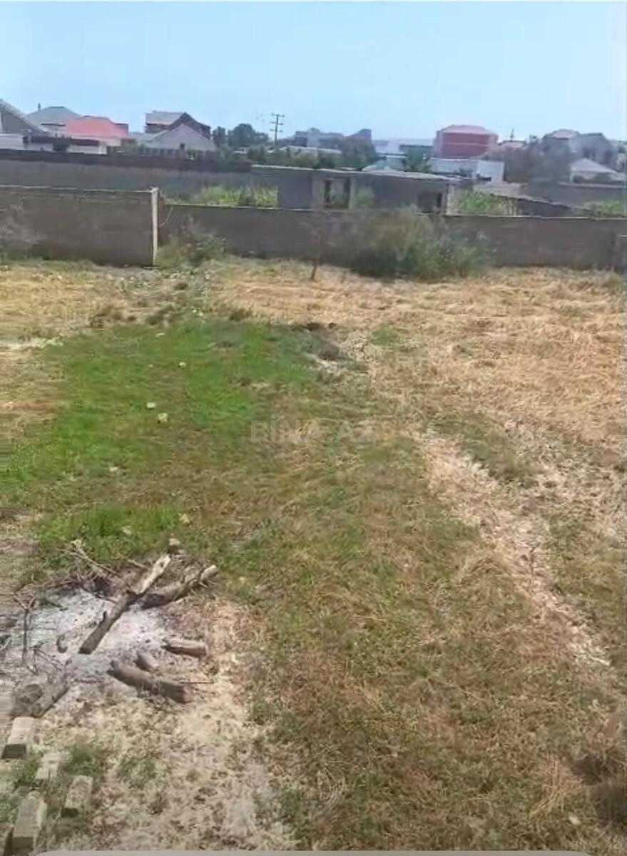 Torpaq Buzovna q., Bakı